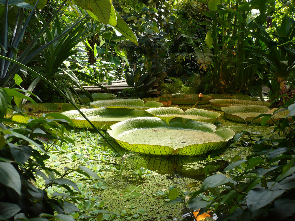 mega leaves by erdmute mega leaves by erdmute