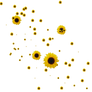 Sunflower Brushes-png