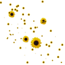 Sunflower Brushes-png