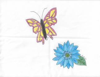 Butterfly and Flower