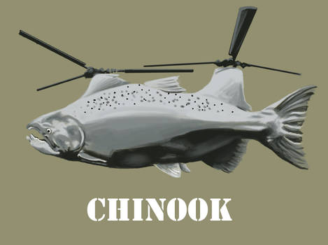 Chinook, subspecies CH-47