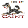 Caint: No-Magic-Mode