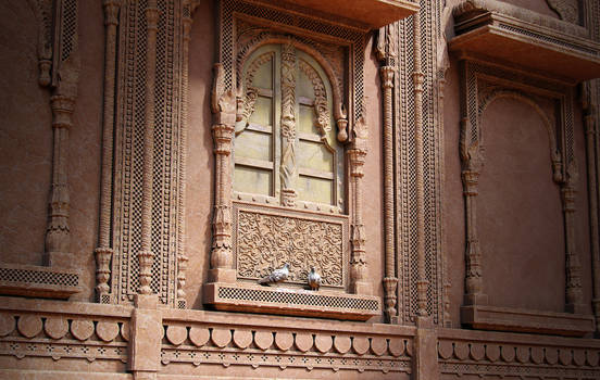 Nepal pigeons