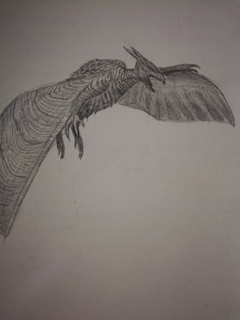 Rodan Drawimg Rodan by Nazeerma on DeviantArt