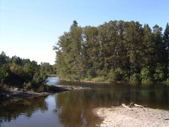 by the river