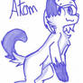 Atom~