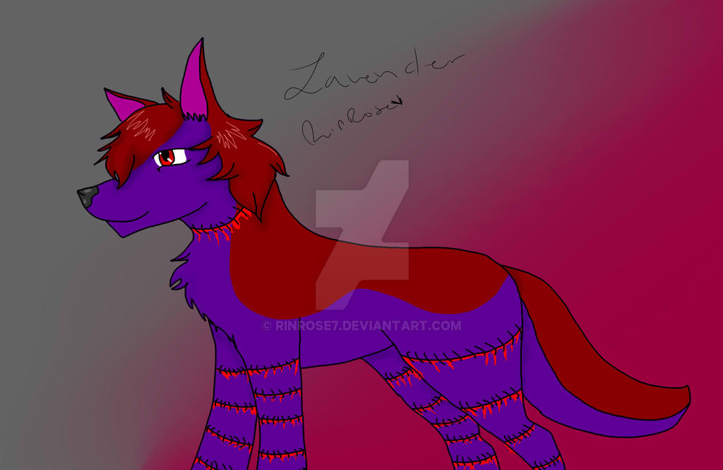 Lavender The Fire Rabbit Lavender by RinRose7 on DeviantArt