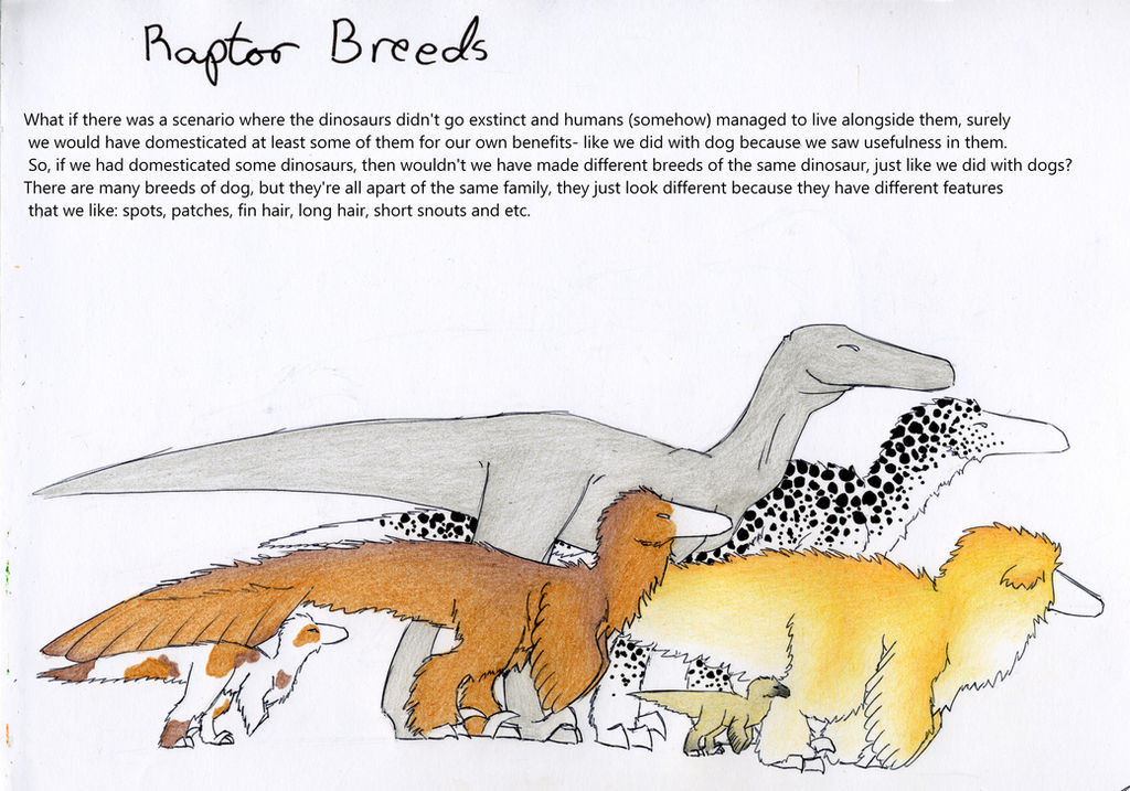 Dog Development Raptor Raptor Breeds by Doragon-LW on DeviantArt