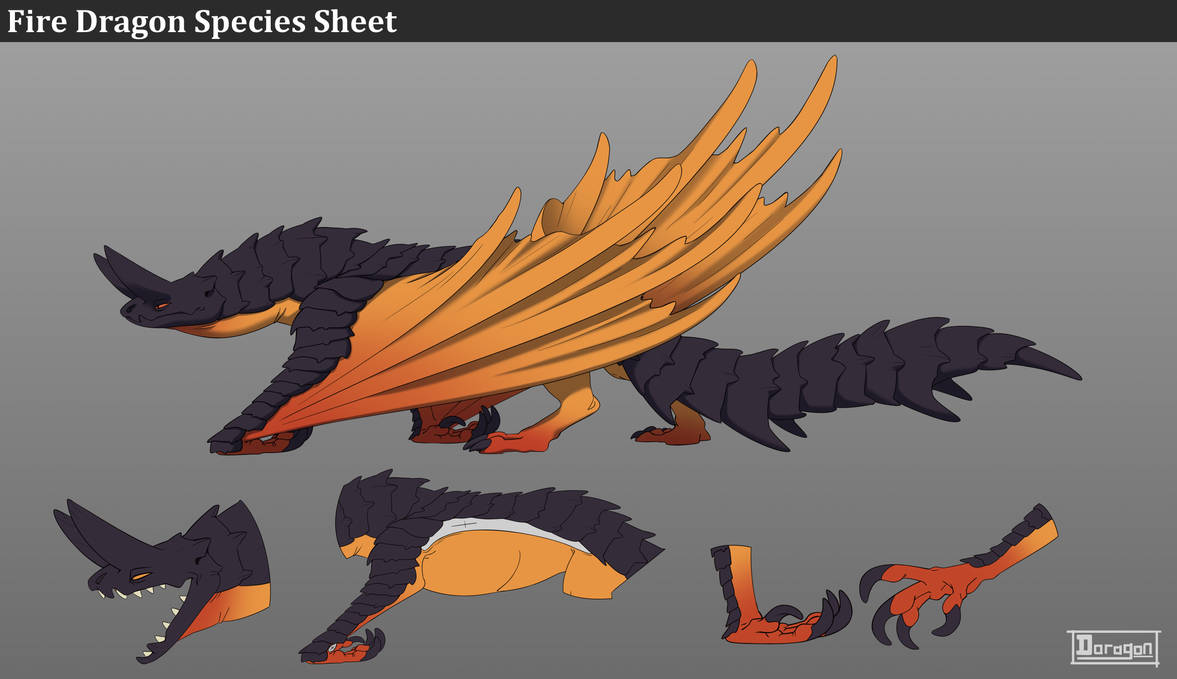 Fire Dragon Species Sheet by Doragon-LW on DeviantArt