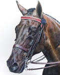 Horse by blue-birdie-drawings Horse by blue-birdie-drawings