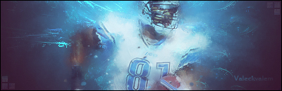 Calvin Johnson sig