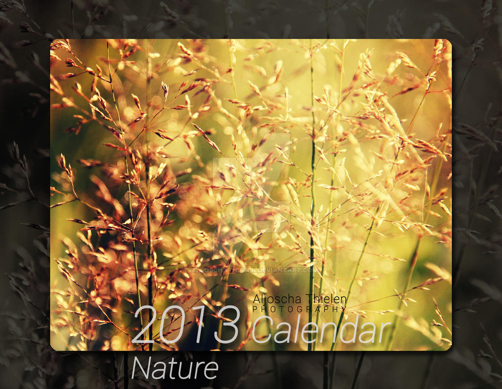 2013 Calendar - Nature