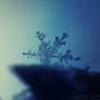 Fragile