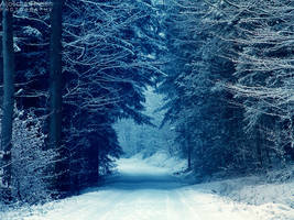 Snowy Path