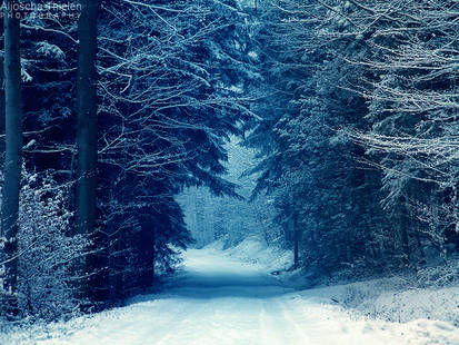 Snowy Path