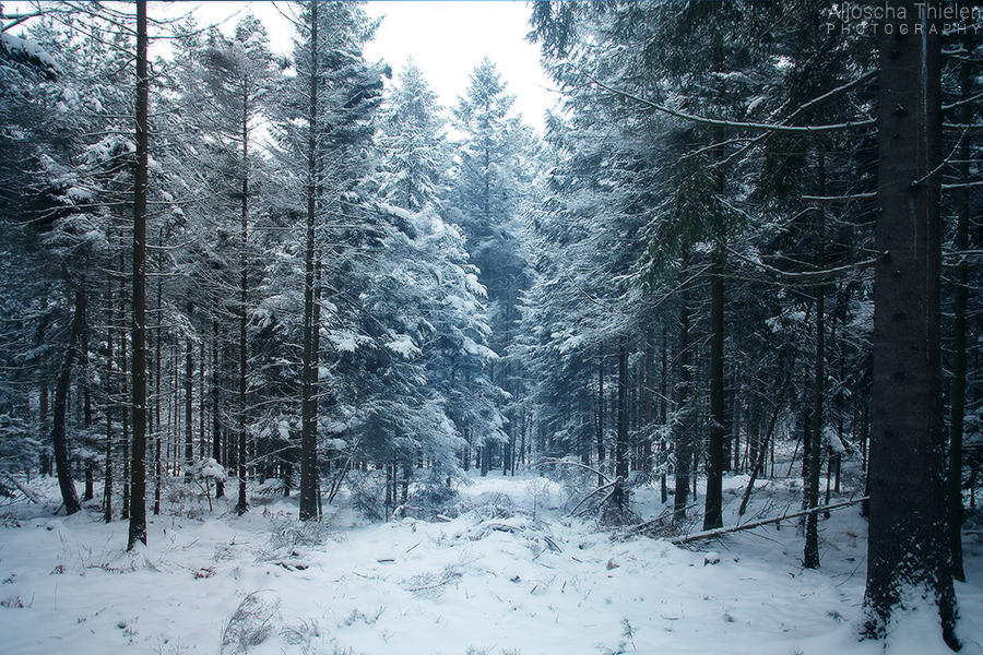 Winterdream by AljoschaThielen