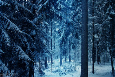 Winter in Narnia