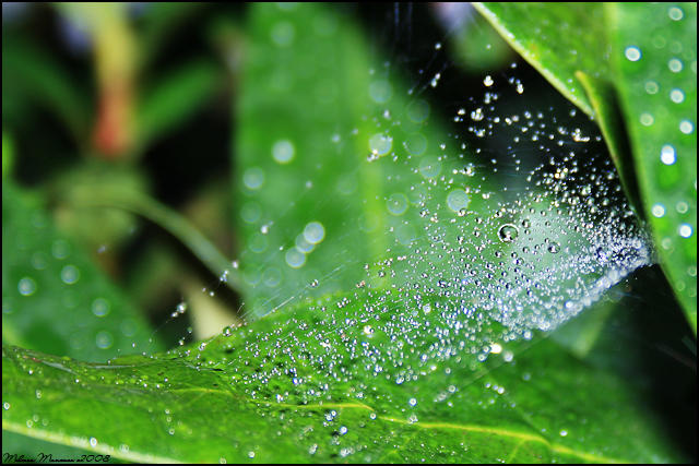 Floating Droplets by mydigitalmind on DeviantArt