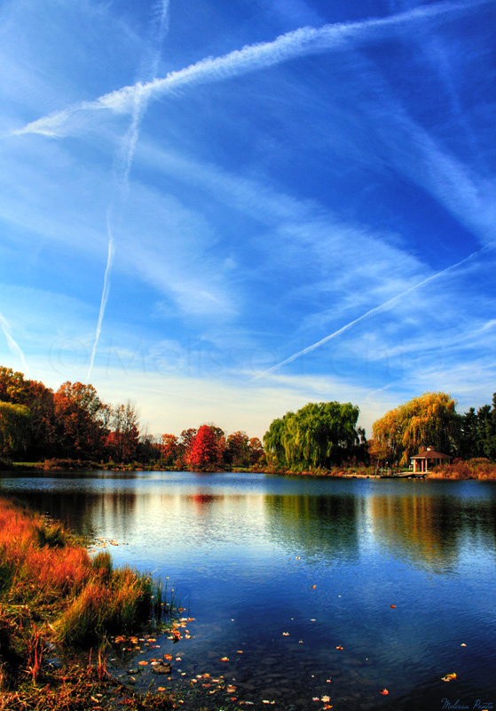 Autumn Sky