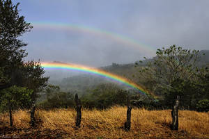 Double Rainbow