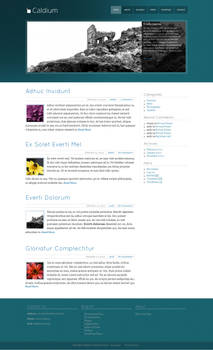 Wordpress Theme