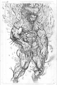 Weapon X