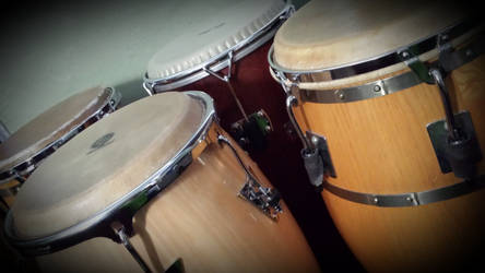 My congas 2