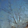 Tree Through The Iced Glass