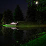 Night Pond