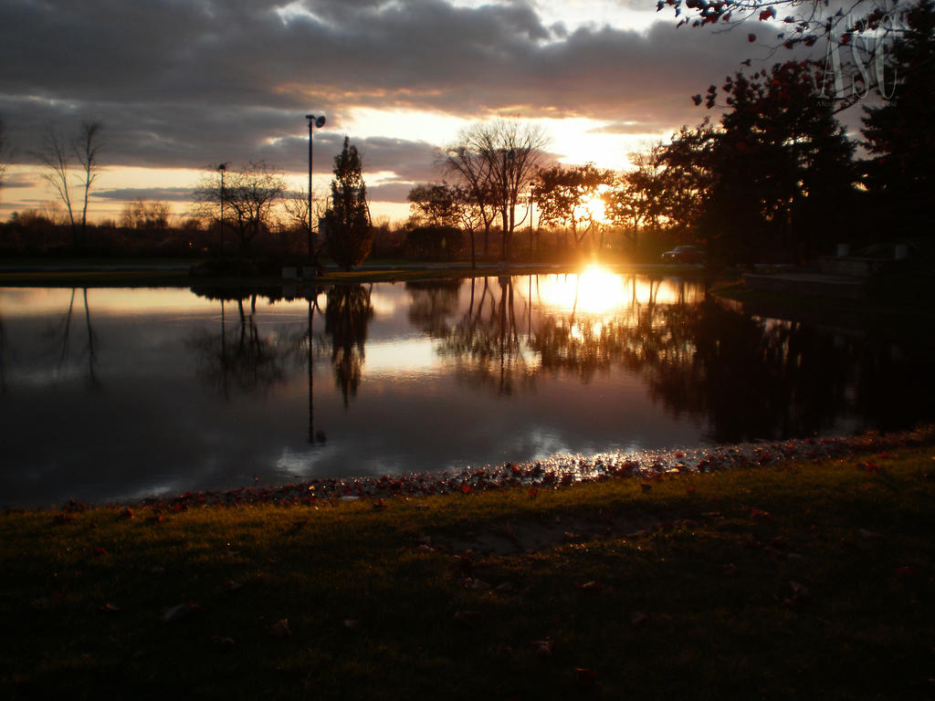 Evening Duck Pond