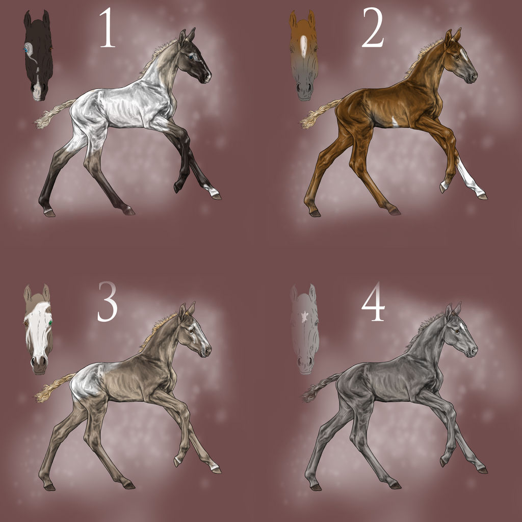 Foal Designs for sale