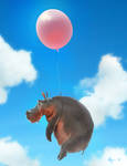 When Hippos Fly by Yaroslav