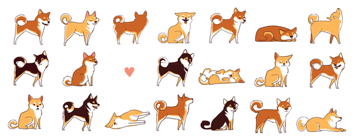 A lot of shibas