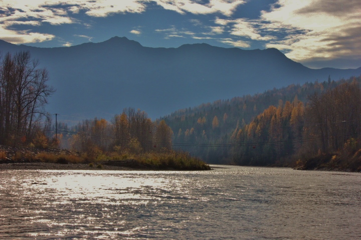 Along the river