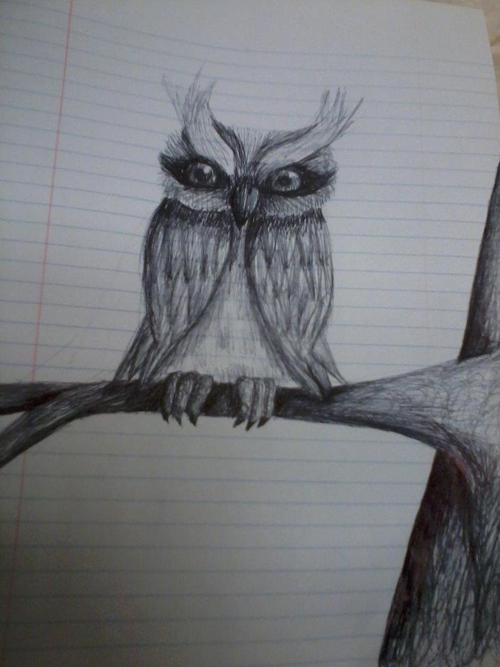 Owl