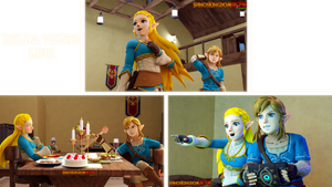 Zelda visits Link