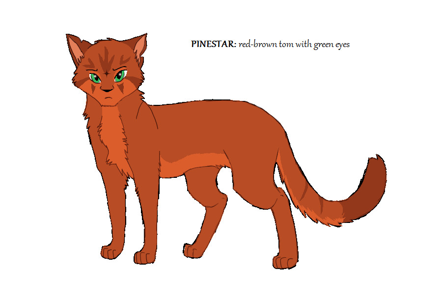 Warrior cats : Pinestar by narutofirestar on DeviantArt