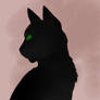 Hollyleaf