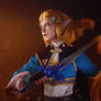 BOTW cosplay: minor sacrifice