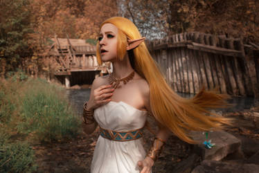 Princess Zelda: Calamity is coming