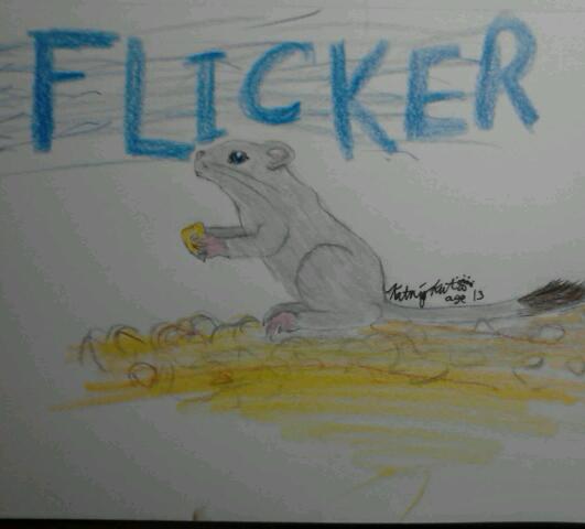 Flicker