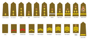 Prussian Rank Insignia by kyuzoaoi on DeviantArt