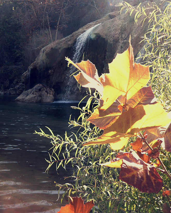 Turner Falls Close Up