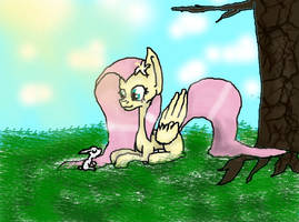 Fluttershy