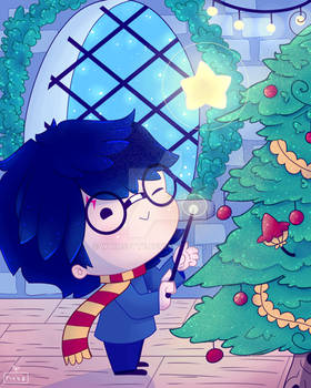 Harry's Christmas