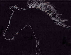 Back Lit - Arabian Portrait Drawing