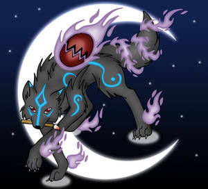 The Black Okami