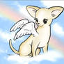 Chihuahua: Smooth Coat Angel