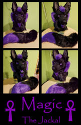 Magic the Jackal: Fursuit Commission