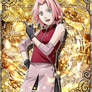 Sakura Haruno, Cherry Blossom